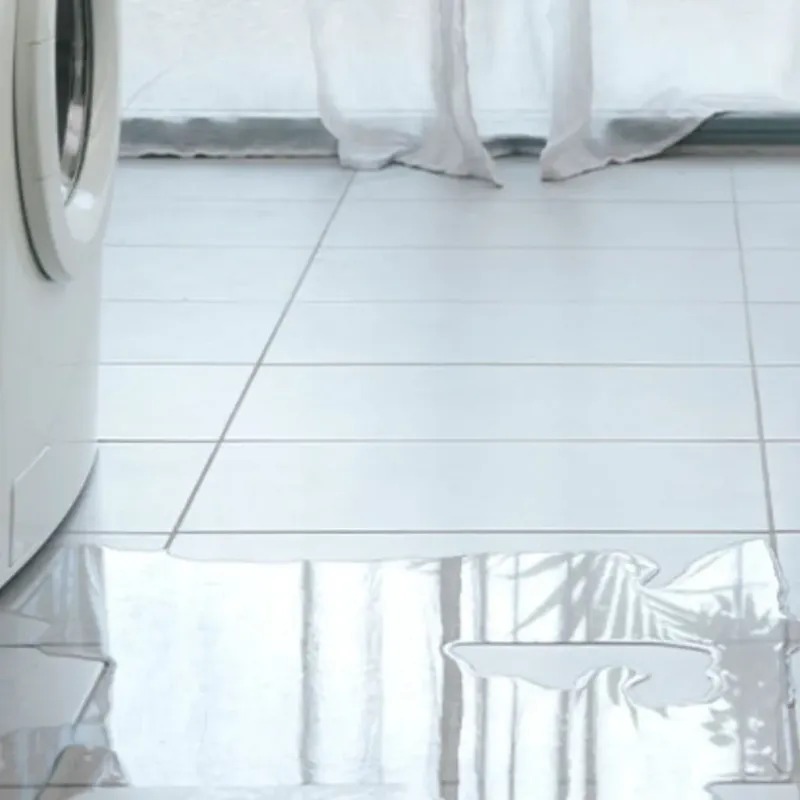 Appliance Leak Cleanup in La Croft, OH