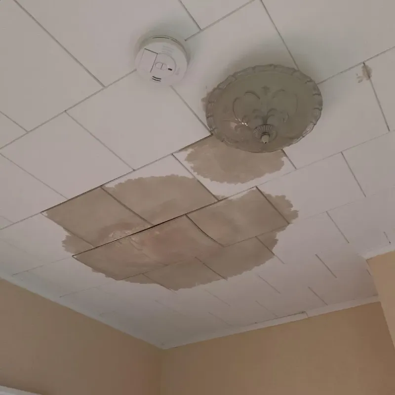 Ceiling Water Damage Repair in La Croft, OH