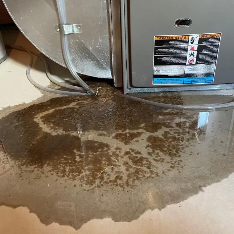 Pipe Burst and Leak Restoration in La Croft, OH