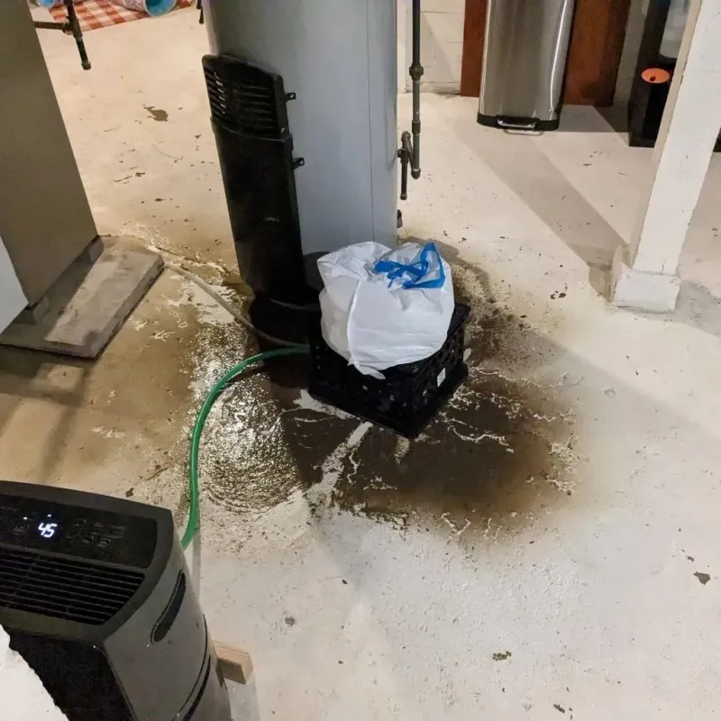 Sewage Backup Cleanup Service in La Croft, OH
